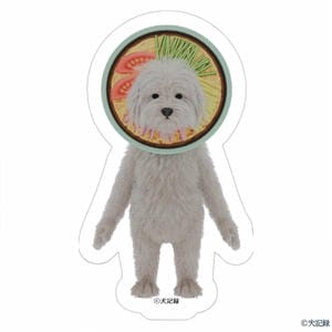 犬記録 ダイカットシール ＜冷やし中華＞(R8429)【雑貨】