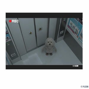 犬記録 スクエアシール ＜防犯カメラ廃棄映像＞(R8431)【雑貨】
