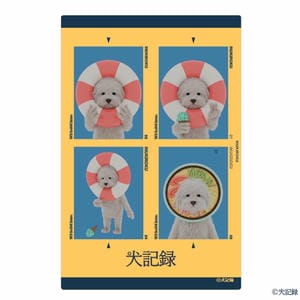 犬記録 韓国フォト風シール(R8432)【雑貨】
