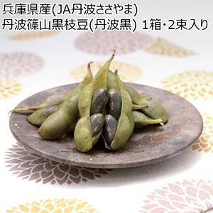 兵庫県産(JA丹波ささやま) 丹波篠山黒枝豆(丹波黒) 枝付き 1箱・2束入り【お届け期間:9月25日〜10月12日】【NN】