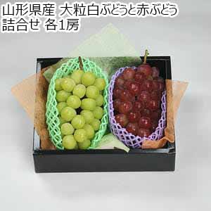 山形県産 大粒白ぶどうと赤ぶどう 詰合せ 各1房【限定100点】【お届け期間：9月15日〜10月10日】【秋のうまいもの市】