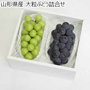 山形県産 大粒ぶどう詰合せ【限定100点】【お届け期間：9月15日〜10月10日】【秋のうまいもの市】