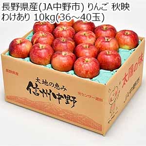 長野県産(JA中野市) りんご 秋映 わけあり 10kg(36〜40玉)【お届け期間：10月5日〜10月31日】【秋のうまいもの市】