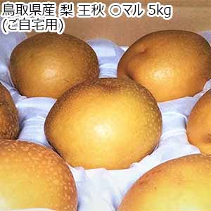 鳥取県産 梨 王秋 ○マル 5kg(ご自宅用)【お届け期間：10月15日〜11月20日】【秋のうまいもの市】【おいしいお取り寄せ】
