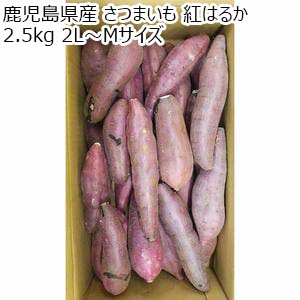 鹿児島県産 さつまいも 紅はるか 2.5kg 2L〜Mサイズ【お届け期間：10月26日〜11月30日】【秋のうまいもの市】【おいしいお取り寄せ】