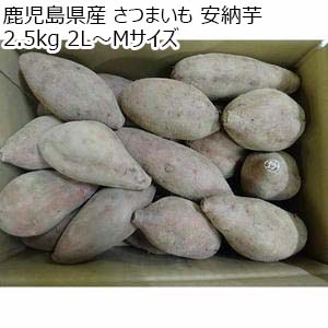 鹿児島県産 さつまいも 安納芋 2.5kg 2L〜Mサイズ【お届け期間：10月26日〜11月30日】【秋のうまいもの市】【おいしいお取り寄せ】