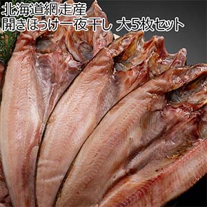 北海道網走産 開きほっけ一夜干し 大5枚セット【秋のうまいもの市】【おいしいお取り寄せ】