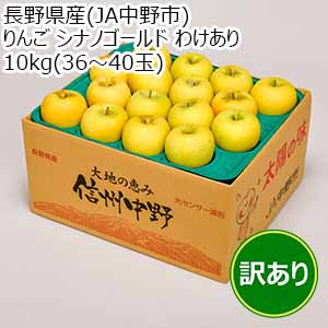 長野県産(JA中野市) りんご シナノゴールド わけあり 10kg(36〜40玉)【お届け期間：11月5日〜11月30日】【Ａセレクション10月】