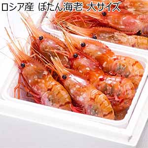 ロシア産 ぼたん海老 大サイズ【お届け期間：12月26日〜12月30日】【年末年始ごちそう特集】