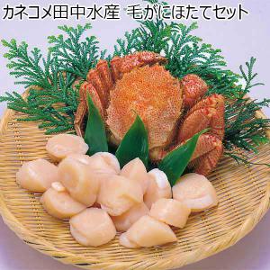 カネコメ田中水産 北海道産 毛がに・ほたてセット【お届け期間：12月26日〜12月30日】【年末年始ごちそう特集】