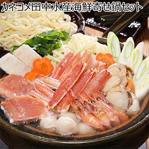 カネコメ田中水産海鮮寄せ鍋セット【お届け期間：12月26日〜12月30日】【年末年始ごちそう特集】