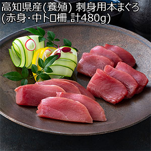 高知県産(養殖) 刺身用本まぐろ (赤身・中トロ柵 計480g)【お届け期間：12月26日〜12月30日】【年末年始ごちそう特集】