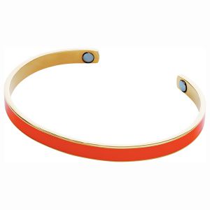 Lijep 静電気対策バングル オレンジ【雑貨】