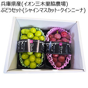 兵庫県産(イオン三木里脇農場)イオン農場 ぶどうセット(シャインマスカット・クインニーナ)1箱・2房入り【お届け期間:9月5日〜9月15日】【イオン農場】【NN】
