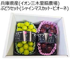 兵庫県産(イオン三木里脇農場)イオン農場 ぶどうセット(シャインマスカット・ピオーネ)1箱・2房入り【お届け期間:9月5日〜9月15日】【イオン農場】【NN】