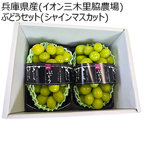 兵庫県産(イオン三木里脇農場)イオン農場 ぶどうセット(シャインマスカット)1箱・2房入り【お届け期間:9月5日〜9月15日】【イオン農場】【NN】