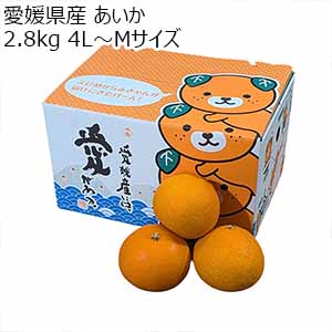 愛媛県産 あいか 2.8kg 4L〜Mサイズ【お届け期間：12月1日〜12月28日】【従業員感謝WEEK】