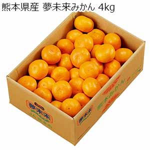熊本県産 夢未来みかん  4kg【お届け期間：12月1日〜12月29日】【従業員感謝WEEK】
