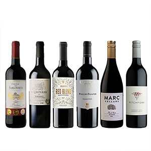 世界を巡る厳選赤ワイン6本セット 750ml×6本【おいしいお取り寄せ】
