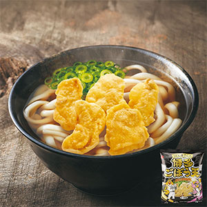 うどん屋さんの博多ごぼう天30g(1〜2人前) (L8356)【サクワ】