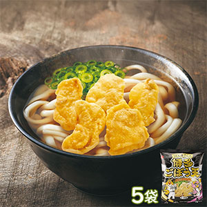 うどん屋さんの博多ごぼう天30g(1〜2人前)×5袋 (L8359)【サクワ】