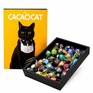 CACAOCAT YELLOW【ハロウィン特集】
