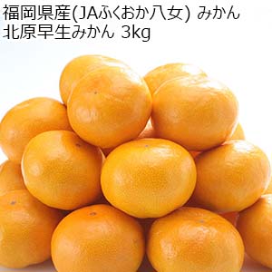 福岡県産 みかん 北原早生 3kg【お届け期間：11月1日〜11月15日】【オクトーバーフェスト】【おいしいお取り寄せ】