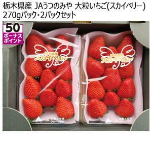 栃木県産 JAうつのみや 大粒いちご(スカイベリー) 270g 2パックセット【お届け期間:12月1日〜12月31日】【KN】