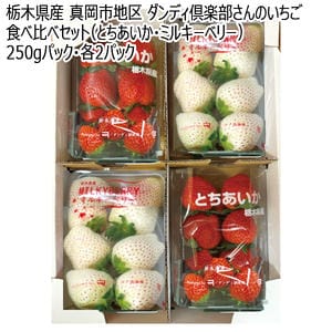 栃木県産 真岡市地区 ダンディ倶楽部さんのいちご食べ比べセット(とちあいか・ミルキーベリー) 250g 各2パック【お届け期間:1月5日〜3月31日】【KN】