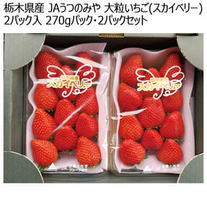 栃木県産 JAうつのみや 大粒いちご(スカイベリー) 270g 2パックセット【お届け期間:1月5日〜3月31日】【KN】