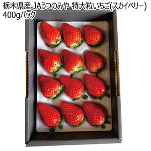 栃木県産 JAうつのみや 特大粒いちご(スカイベリー) 400gパック【お届け期間:1月5日〜3月31日】【KN】