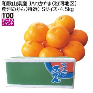 和歌山県産 JAわかやま(粉河地区) 粉河みかん(特選) Sサイズ 4.5kg【お届け期間:11月25日〜12月31日】【KN】