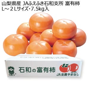 山梨県産 JAふえふき石和支所 山梨県産 富有柿 L〜2Lサイズ 7.5kg入り【お届け期間:11月1日〜11月30日】【KN】