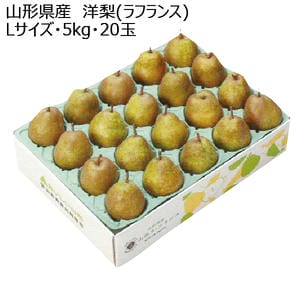 山形県産 洋梨(ラフランス) Lサイズ・5kg・20玉【お届け期間:11月1日〜12月25日】【KN】