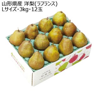 山形県産 洋梨(ラフランス) Lサイズ・3kg・12玉【お届け期間:11月1日〜12月25日】【KN】