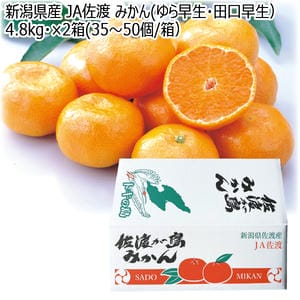 新潟県産 JA佐渡 みかん(ゆら早生・田口早生) 4.8kg×2箱(35〜50個/箱)【お届け期間:11月21日〜12月30日】【KN】