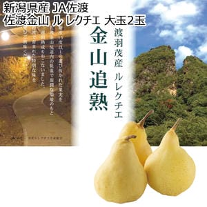 新潟県産 JA佐渡 佐渡金山 ル レクチェ 大玉2玉【お届け期間:11月21日〜12月30日】【KN】