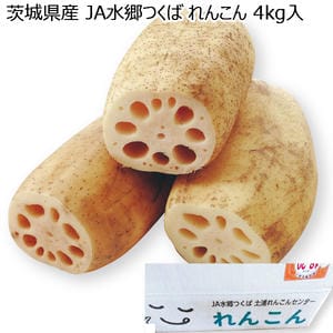 茨城県産 JA水郷つくば れんこんギフト 4kg入り【お届け期間:12月3日〜12月26日】【KN】