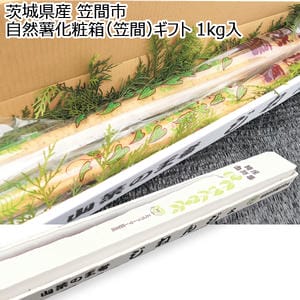 茨城県産 笠間市 自然薯化粧箱(笠間)ギフト 1kg入り【お届け期間:12月10日〜12月28日】【KN】