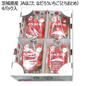 茨城県産 JAほこた なだろういちご(とちおとめ) 4パック入り【お届け期間:1月15日〜2月28日】【KN】