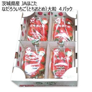 茨城県産 JAほこた なだろういちご(とちおとめ)大粒 4パック【お届け期間:1月15日〜2月28日】【KN】