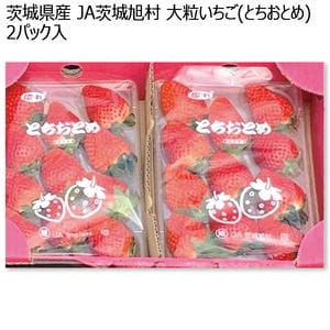 茨城県産 JA茨城旭村 大粒いちご(とちおとめ) 平パック とちおとめ2パック入【お届け期間:1月15日〜2月28日】【KN】