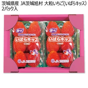 茨城県産 A茨城旭村 大粒いちご(いばらキッス) 2パック入【お届け期間:1月15日〜2月28日】【KN】