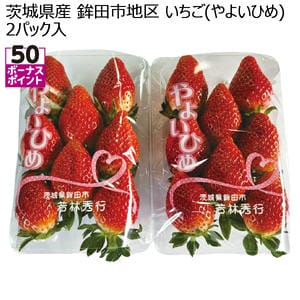 茨城県産 鉾田市地区 いちご(やよいひめ) 2パック入【お届け期間:1月15日〜2月28日】【KN】