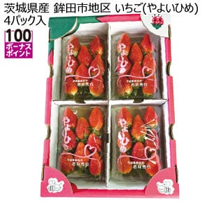 茨城県産 鉾田市地区 いちご(やよいひめ) 4パック入り【お届け期間:1月15日〜2月28日】【KN】