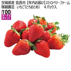 茨城県産 筑西市 【年内お届け】ストロベリーファーム塚越園芸 いちご(とちおとめ) 4パック入り【お届け期間:12月15日〜12月31日】【KN】