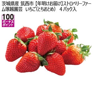 茨城県産 筑西市 【年明けお届け】ストロベリーファーム塚越園芸 いちご(とちおとめ) 4パック入り【お届け期間:1月23日〜3月10日】【KN】