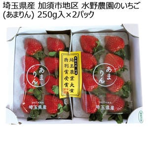 埼玉県産 加須市地区 水野農園のいちご(あまりん) 250g入×2パック【お届け期間:12月5日〜12月31日】【KN】