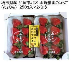 埼玉県産 加須市地区 水野農園のいちご(あまりん) 250g入×2パック【お届け期間:1月5日〜3月31日】【KN】