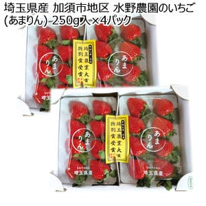 埼玉県産 加須市地区 水野農園のいちご(あまりん) 250g入×4パック【お届け期間:1月5日〜3月31日】【KN】